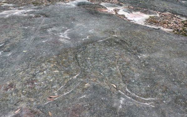 The Distant Candles Still Dance in the Bushland:  On Discovering a Rock Engraving