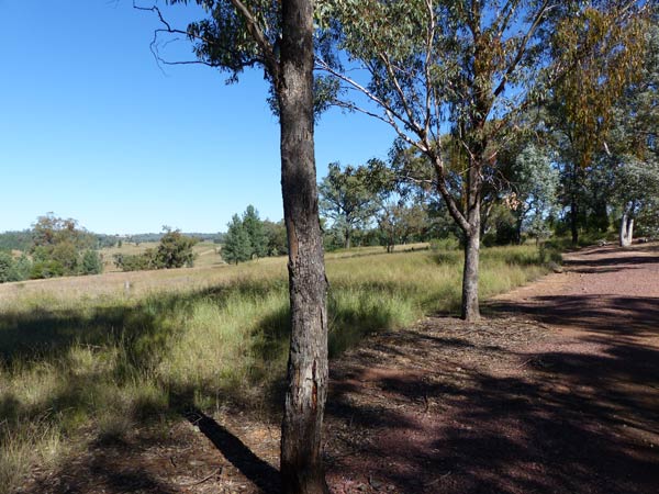 Myall Creek